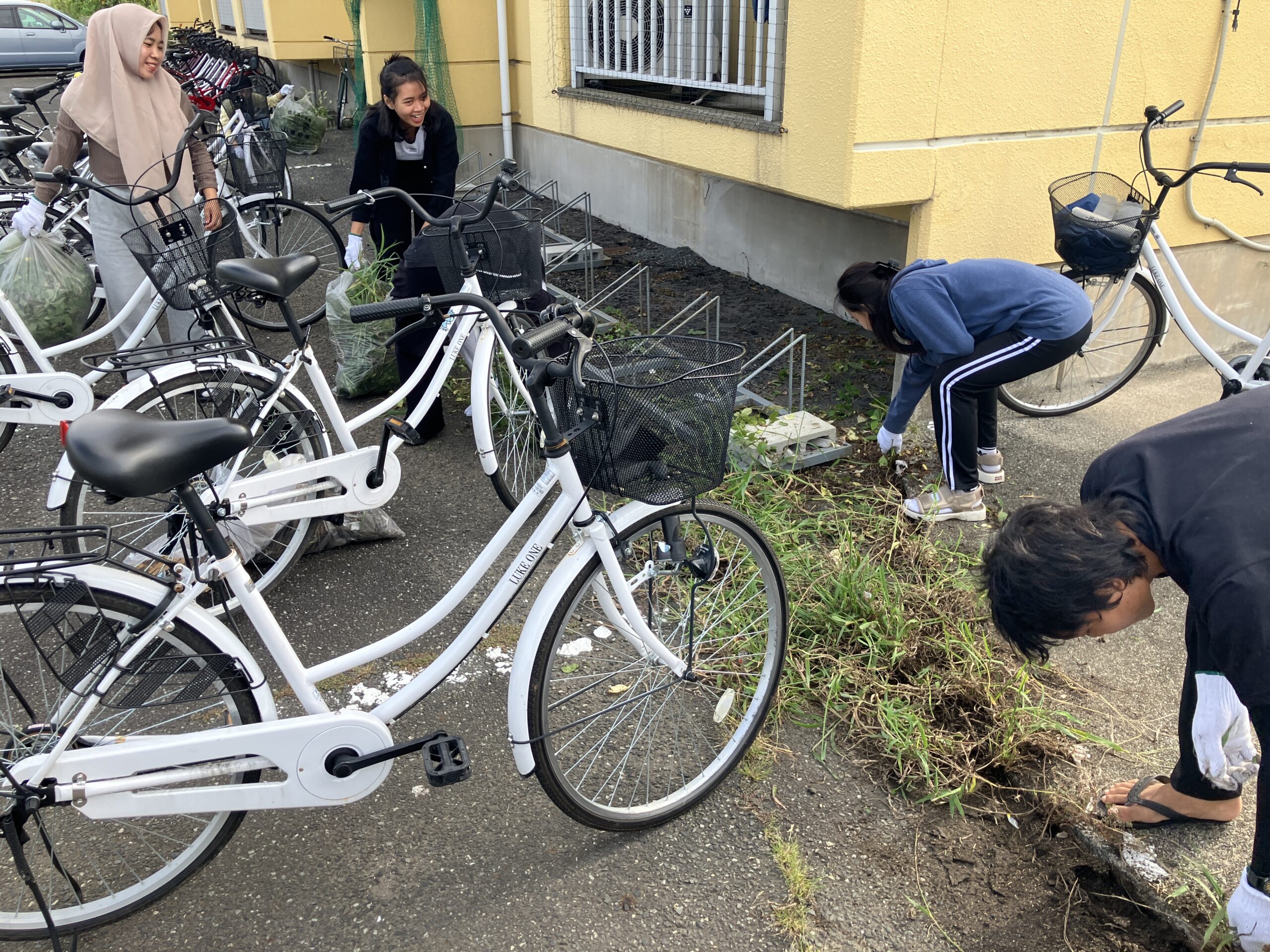 豊前市クリーン作戦2025②b